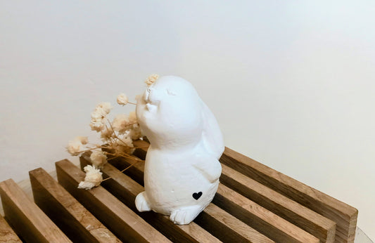 Coniglietto orecchie in giu'