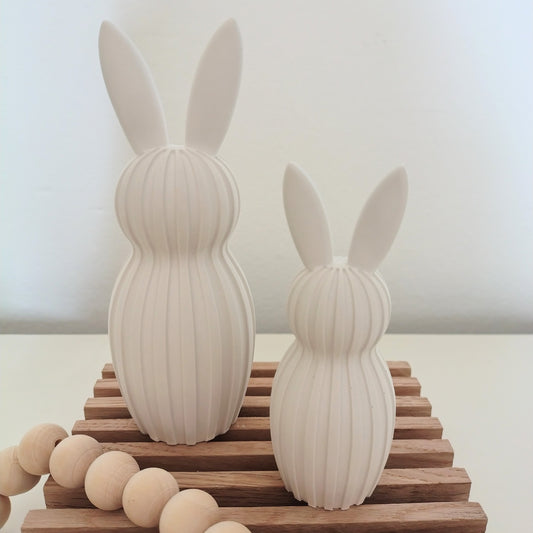 Coppia conigli rigati