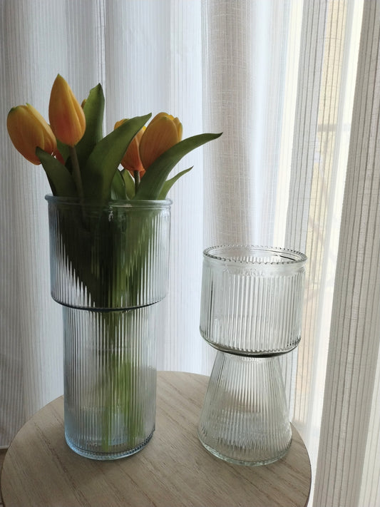 Coppia vasi in vetro trasparente