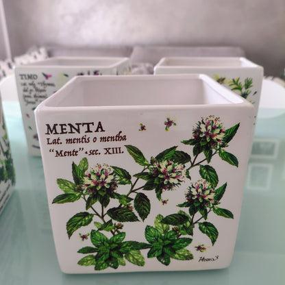 Vaso in ceramica con decori e scritte erbe aromatiche