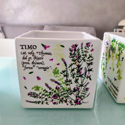 Vaso in ceramica con decori e scritte erbe aromatiche