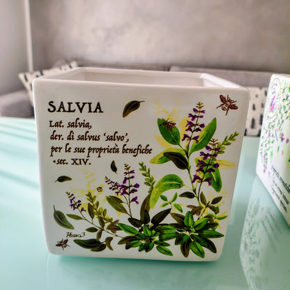 Vaso in ceramica con decori e scritte erbe aromatiche